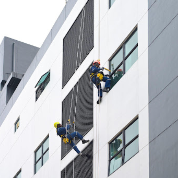 Grid Image 1